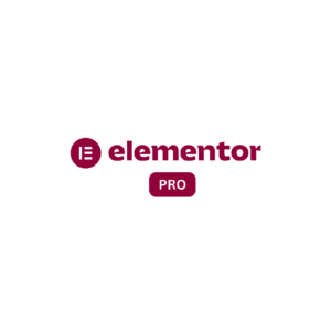 Elementor Pro Plugin